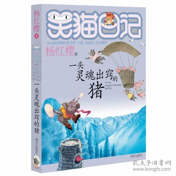 高级定制