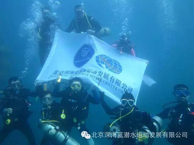 4399斗罗大陆