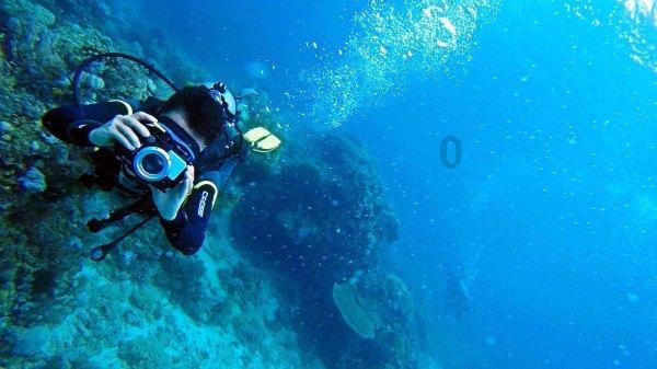 张冬琴：8年不离不弃照顾“植物人”丈夫