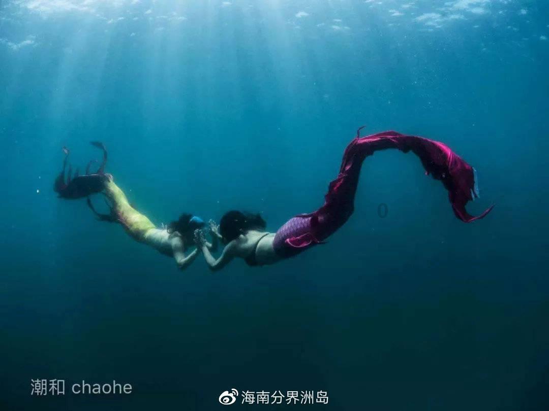 山海间架起鲁甘青少年友谊桥!陇南市少年儿童赴青参加“青少年春晚”录制活动