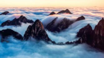 大山羔羊逃生